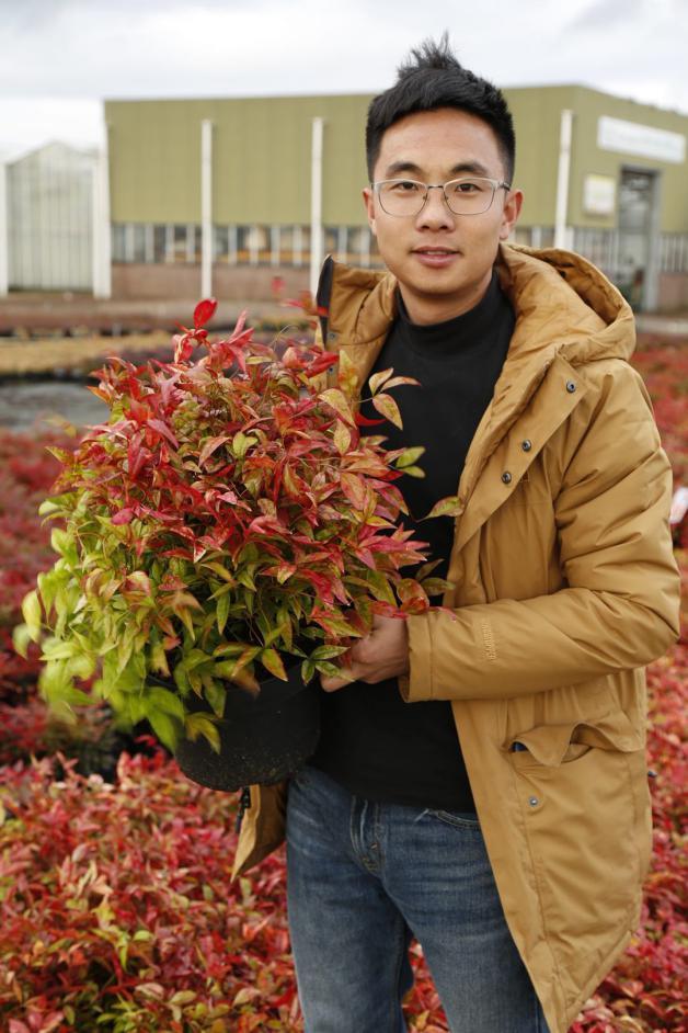 园艺电商怎么做好营销工作,园艺电商怎么做好营销