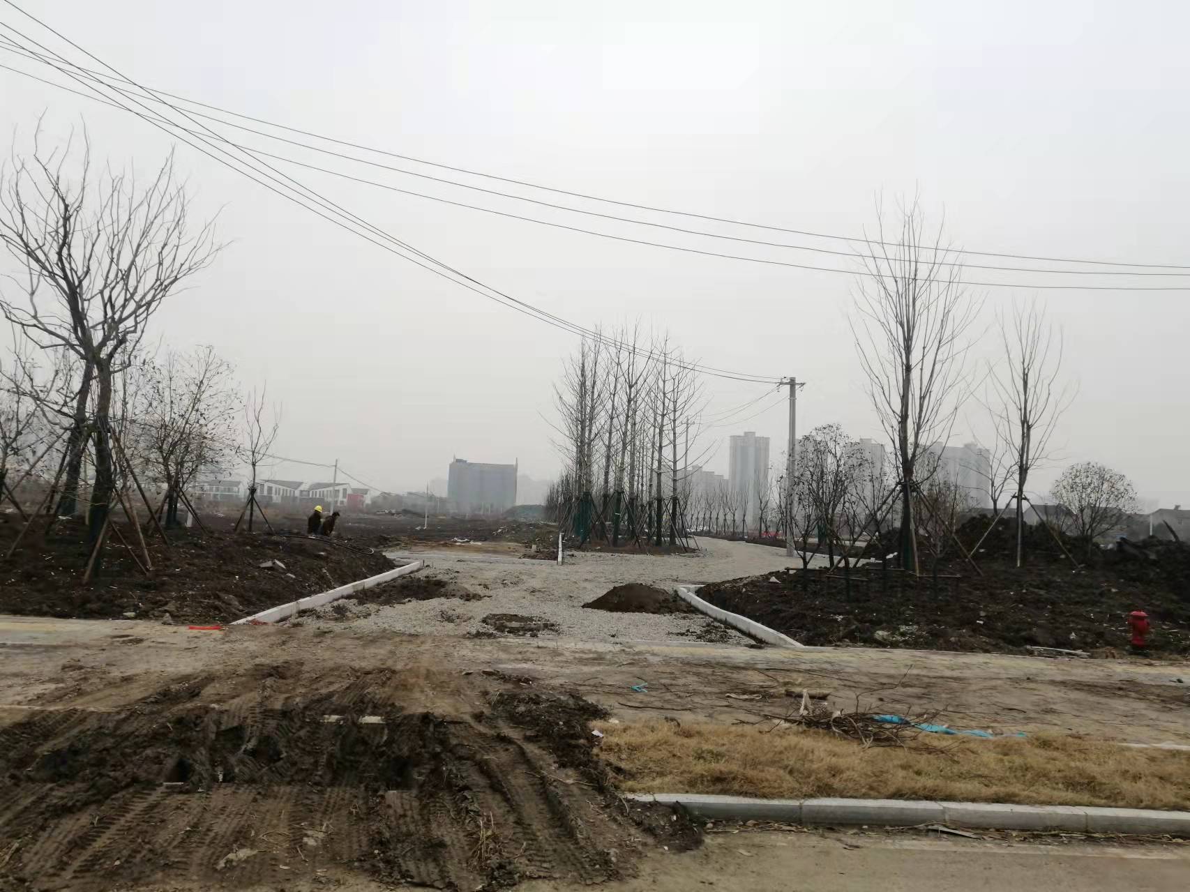 荆州长湖景观大道,沙市长湖大道全长