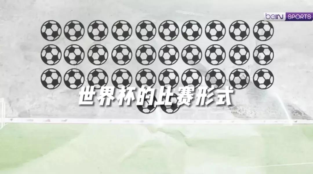 有关世界杯的知识大全,关于冰岛足球你了解多少