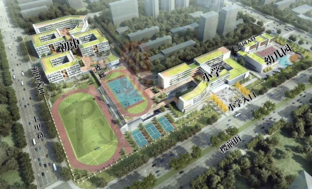 潍坊高新新建学校,神速