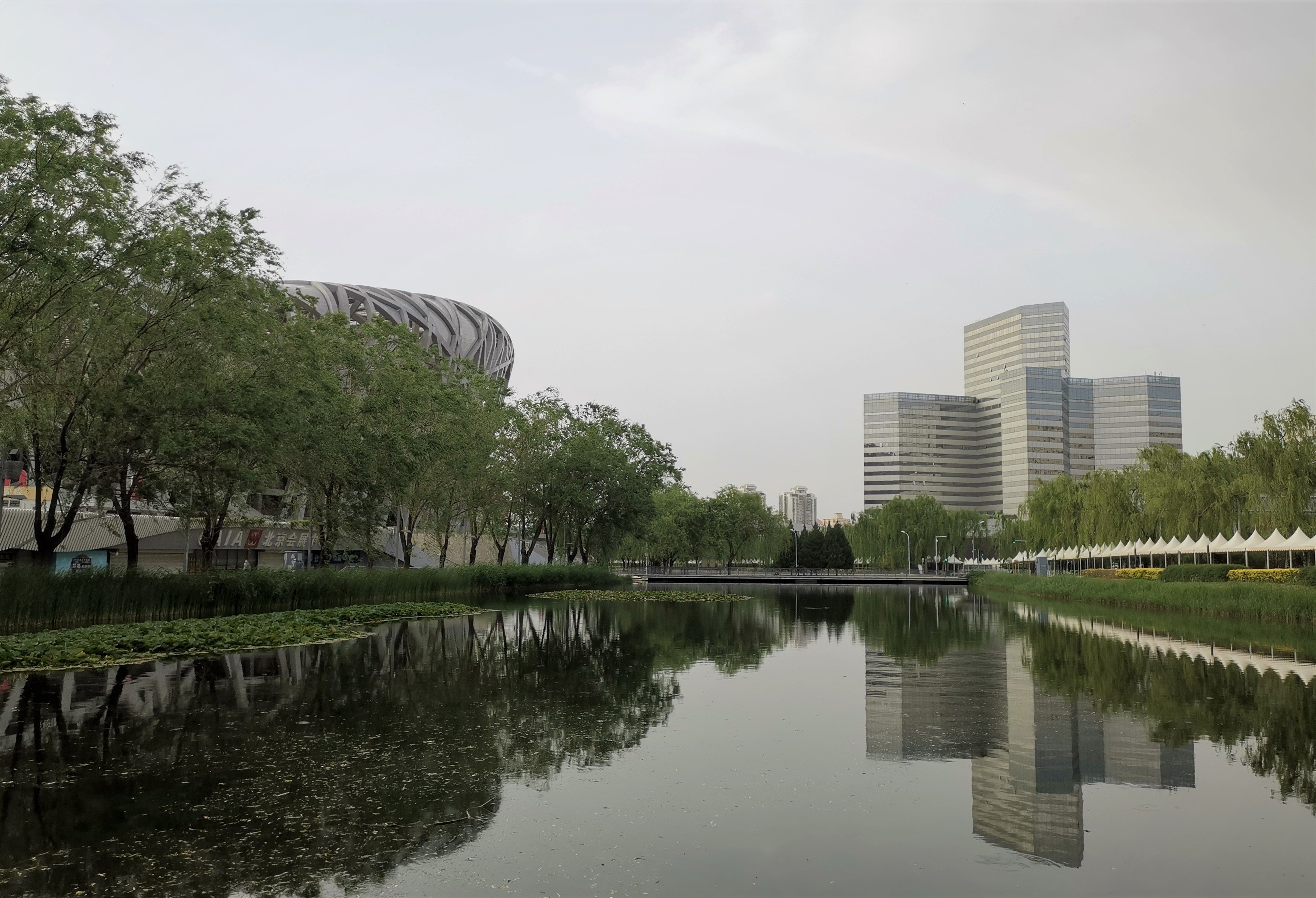 北京鸟巢图片高清真实大图,鸟巢大钉子