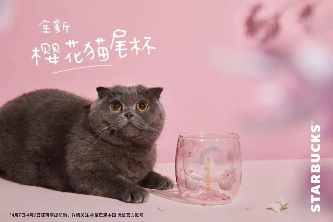 肯德基可达鸭爆火的原因,肯德基可达鸭为什么火爆