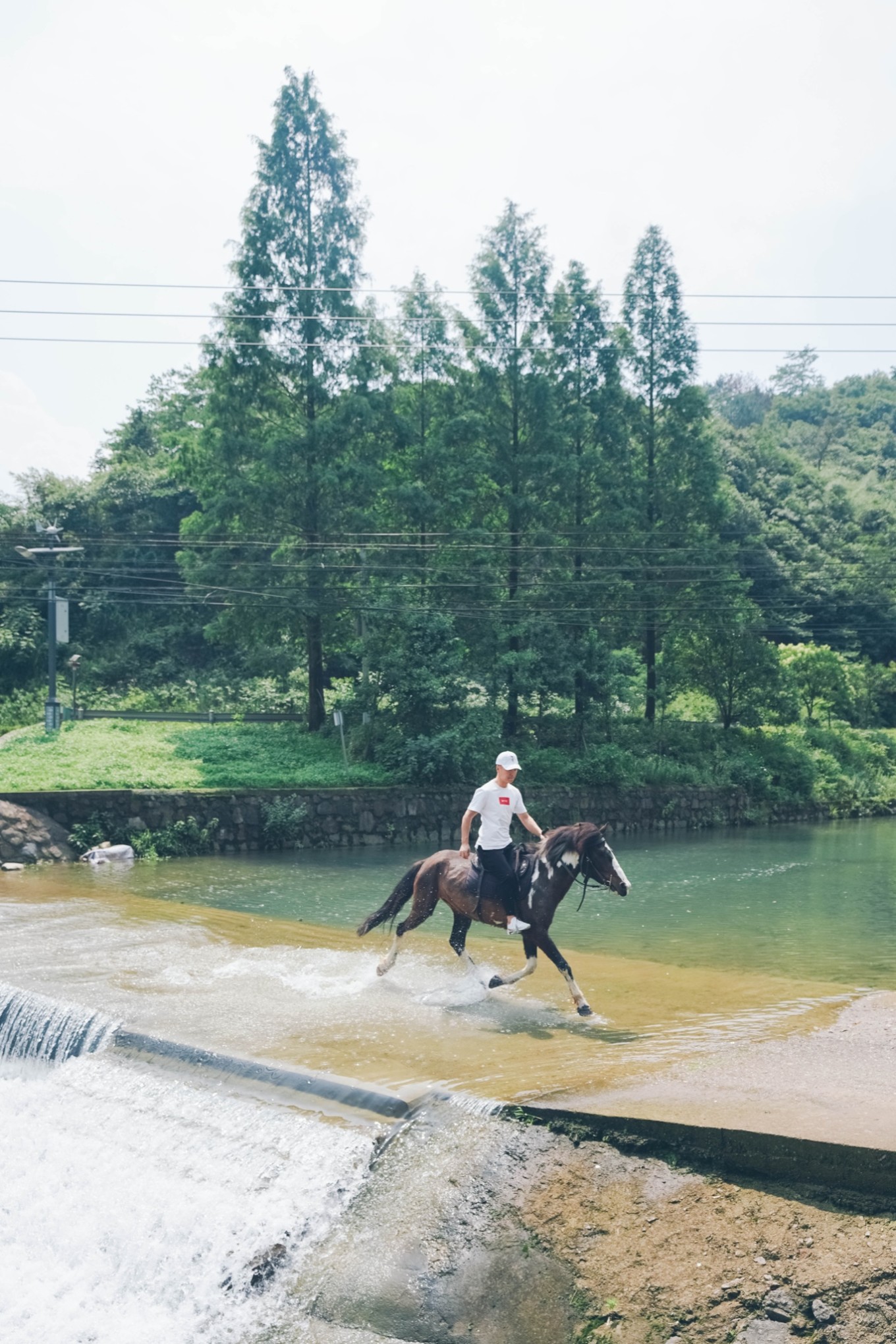 莫干山避暑民宿一日游,莫干山莫奈花园
