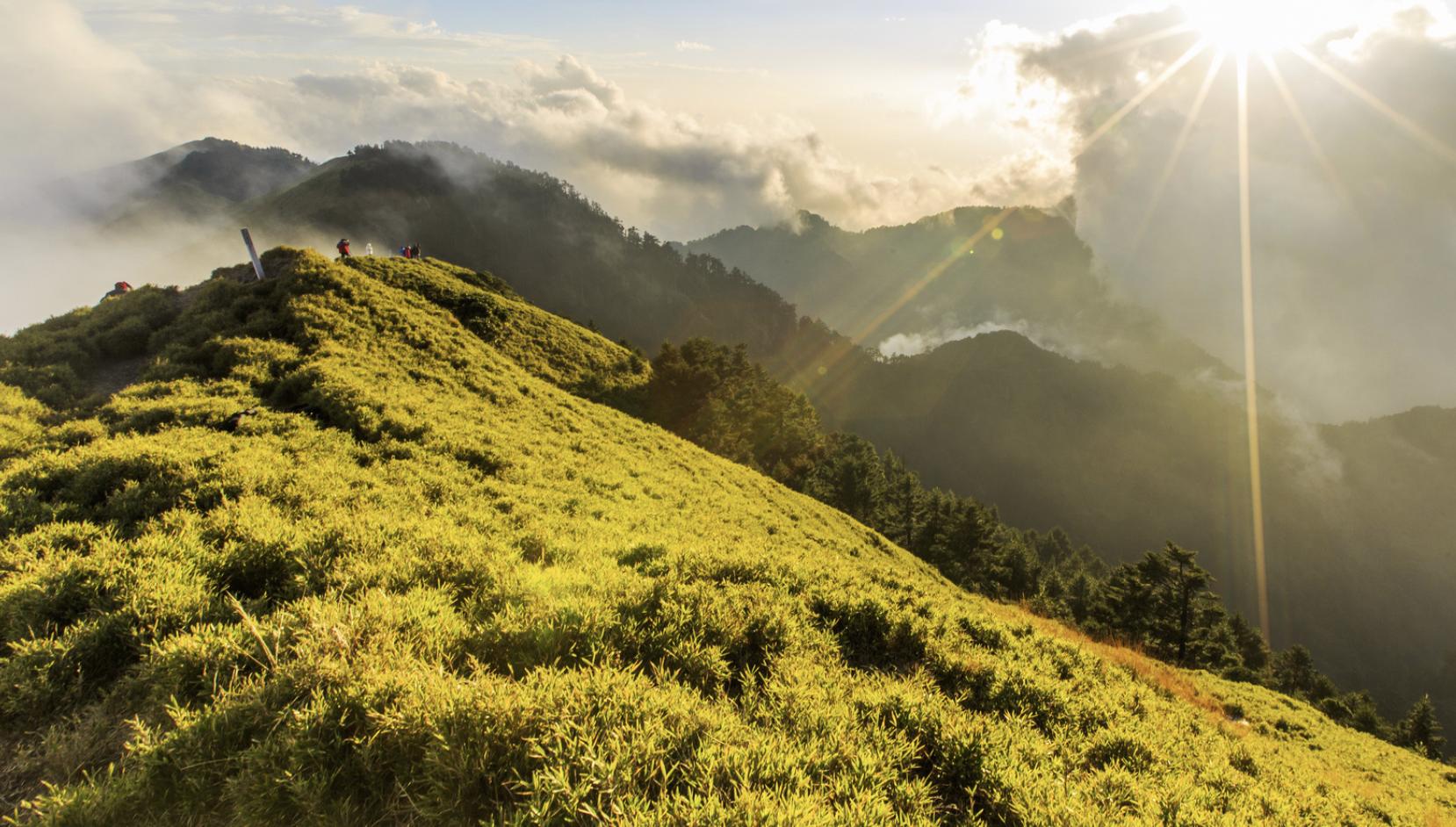 真正能扛事的人短句,真正能扛事的人都有哪些