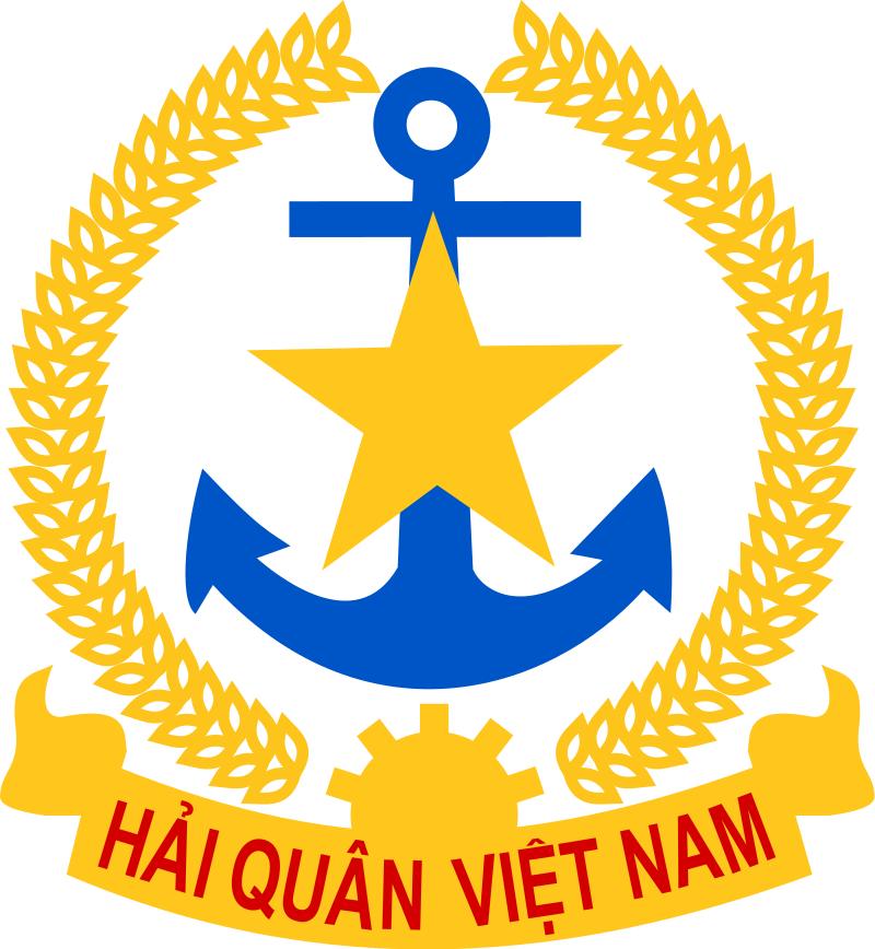 越南*队军**各类标识（3）