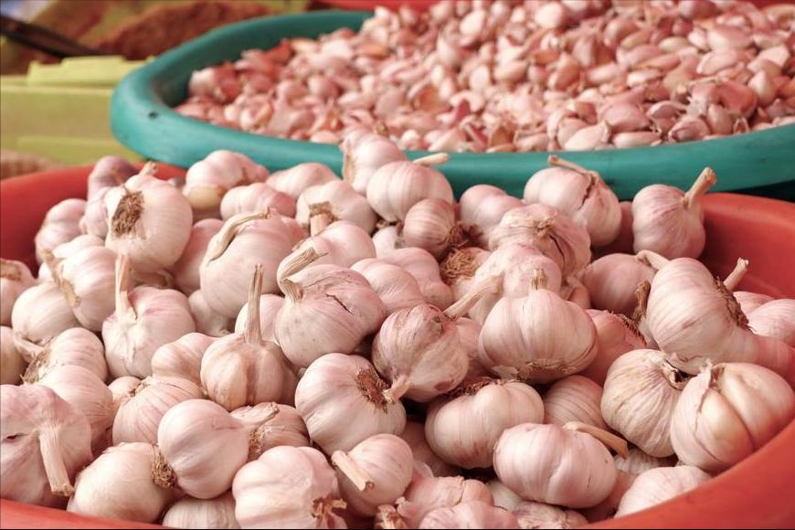 大蒜要怎么储存才不会发芽,大蒜怎么保存才不会干瘪发芽