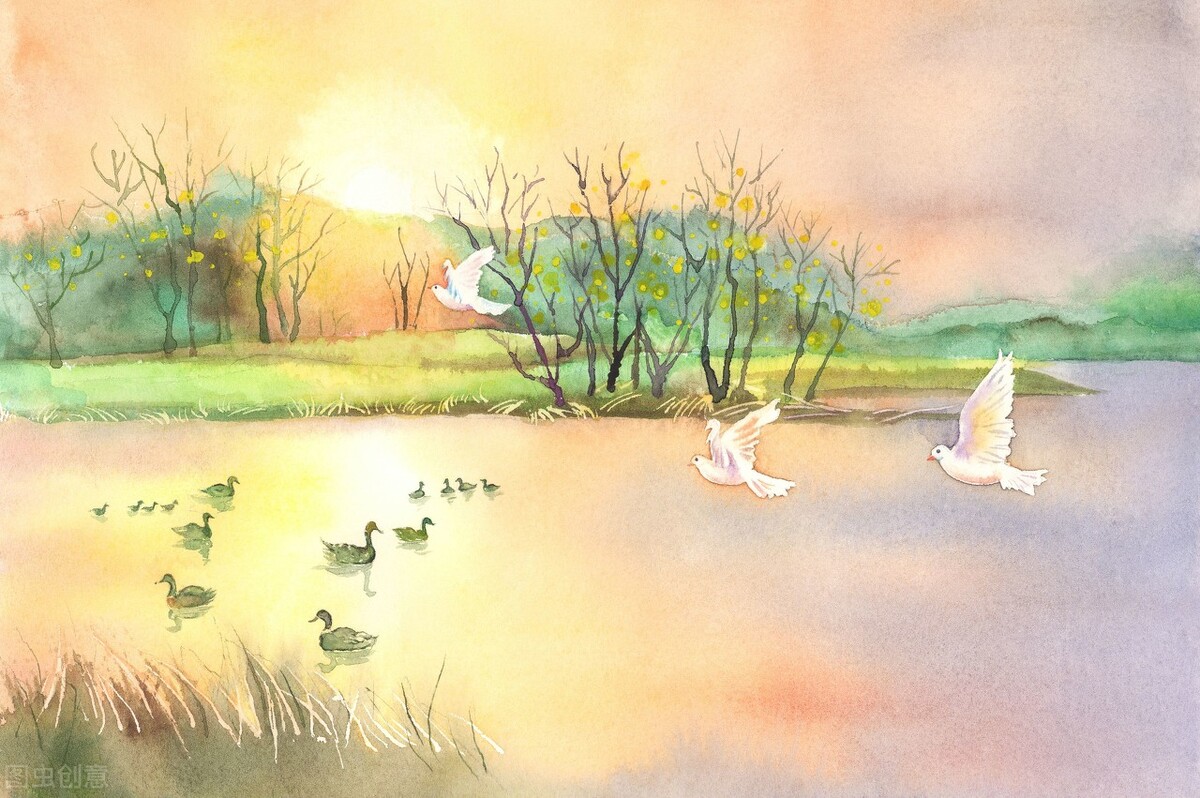 侧风降落要用尾舵,侧风飞行怎么飞