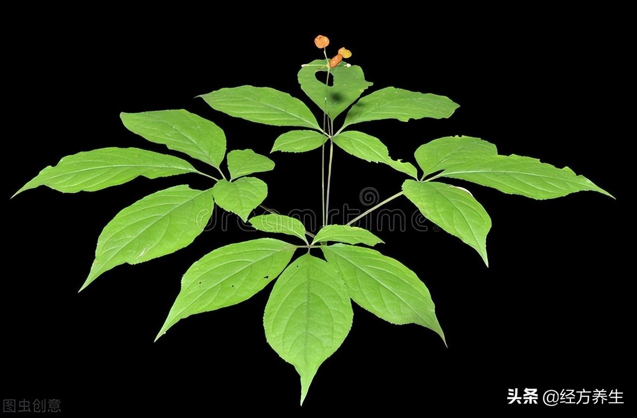 夏天喝点生脉饮,夏天流汗多能喝生脉饮