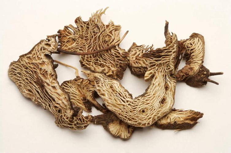 中医治疗便秘经方1则，益气养血通便