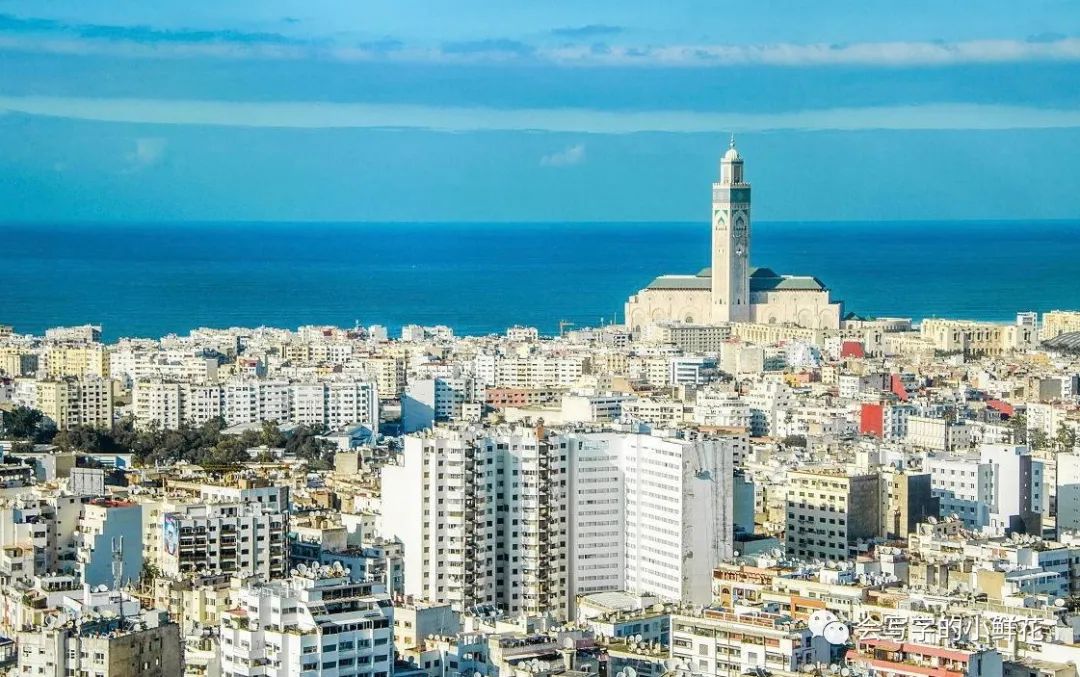 卡萨布兰卡电影国语版,卡萨布兰卡是哪个国家