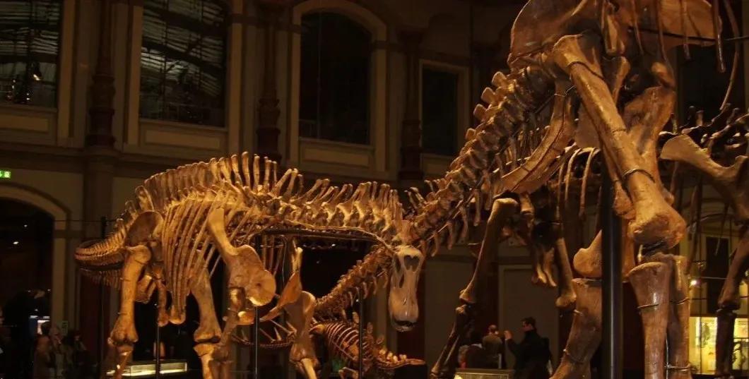 恐龙立体书科普恐龙,恐龙科普全集