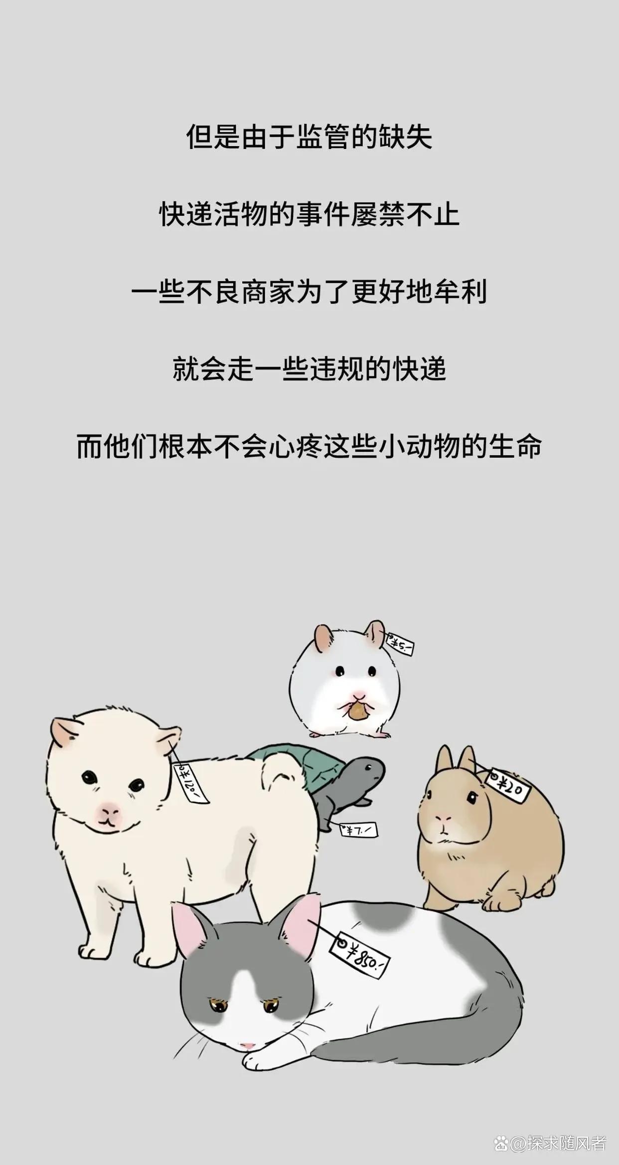 救救我我不想死日语,救救我漫画免费观看