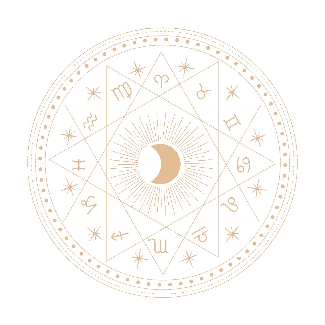 占星怎么看懂一个合盘,占星探秘金星与太阳星座的组合