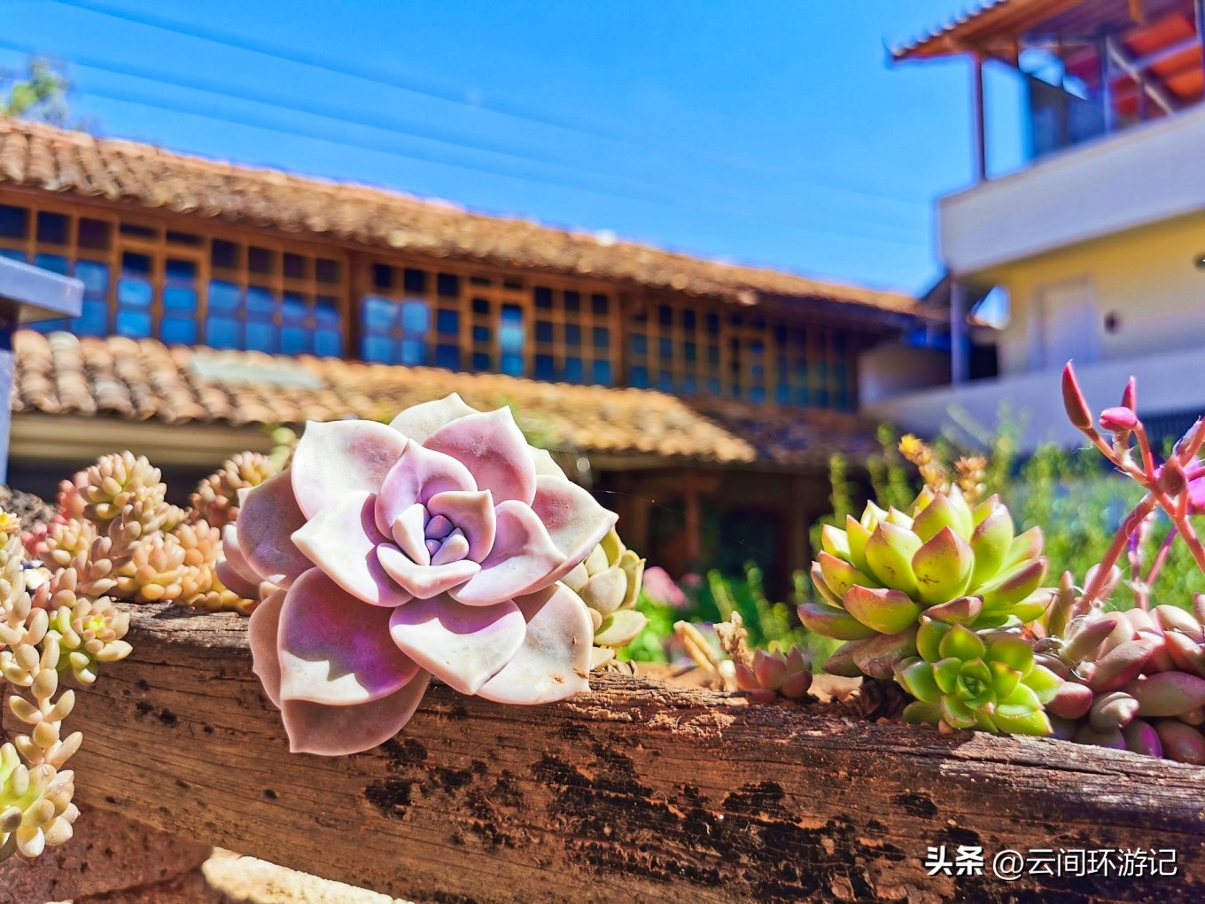 「流离在核酸检测时代的旅行」(普者黑）