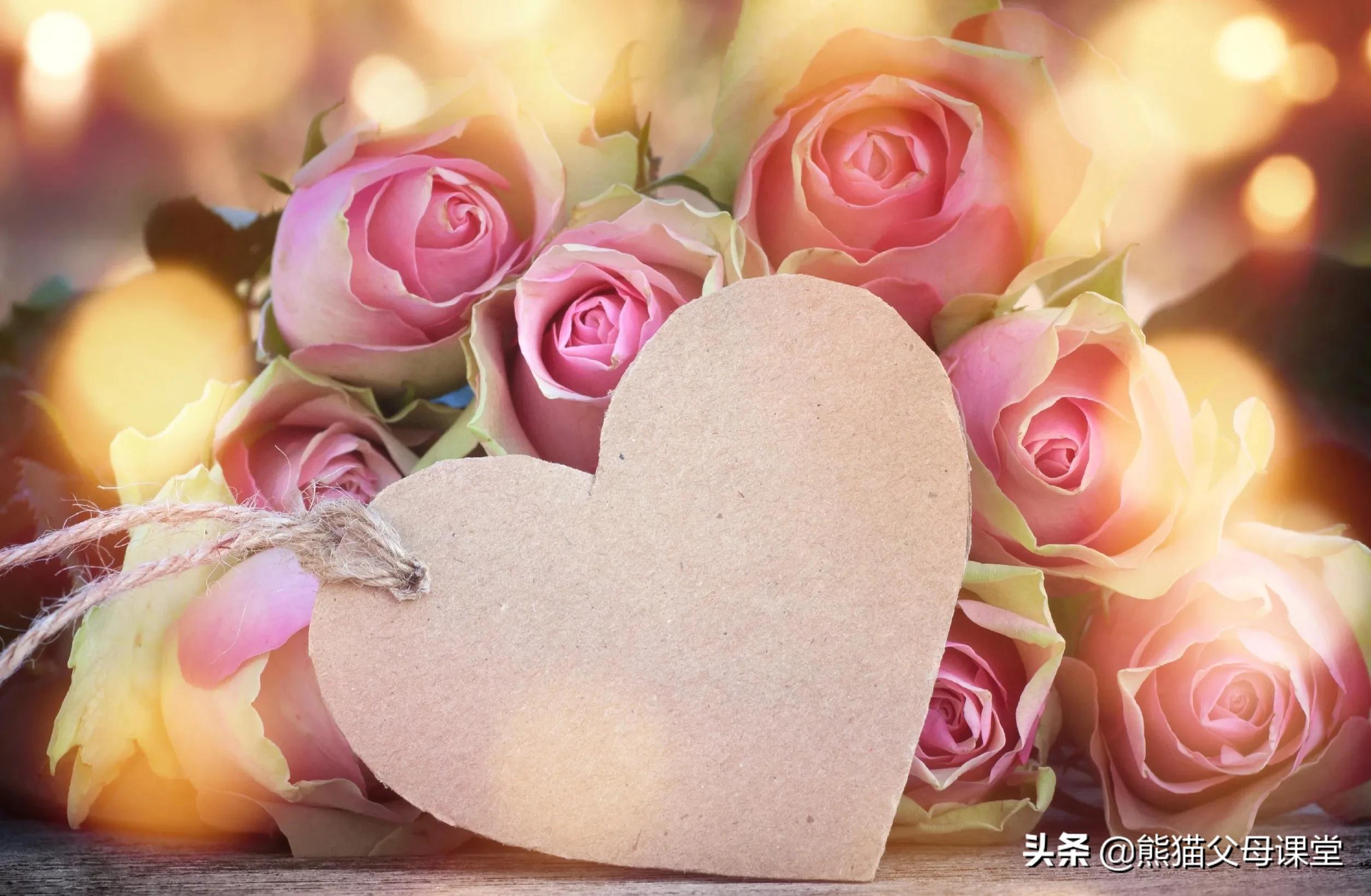 浪漫主义秒懂百科,浪漫主义诗歌的个人感悟