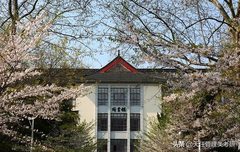 2019年会计专硕南京林业大学,南京林业大学mpacc非全调剂人数