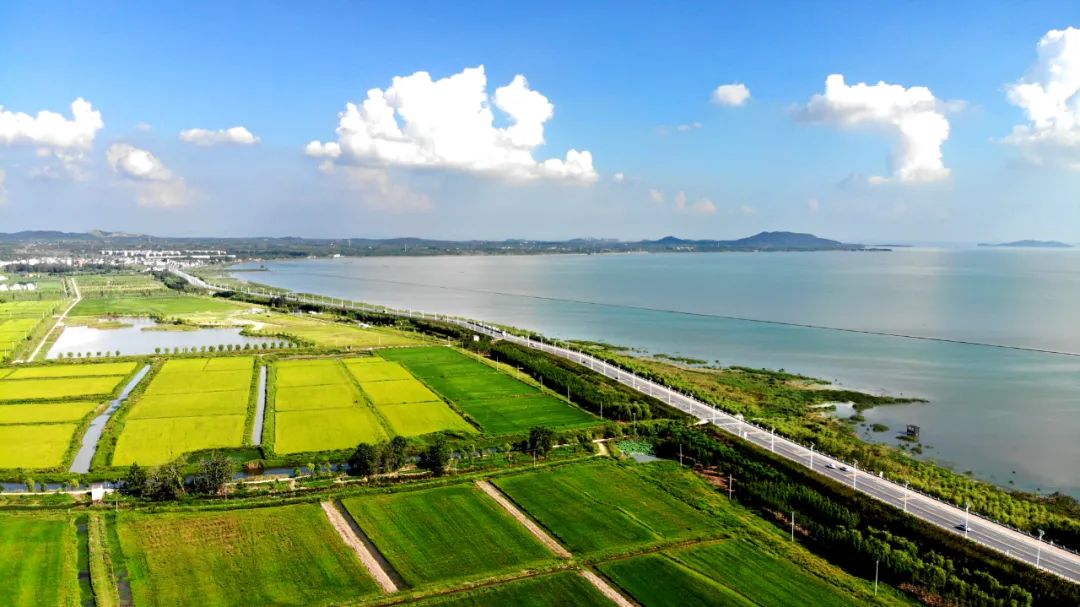 未来合肥绿水青山的美丽图景,合肥市青山绿水