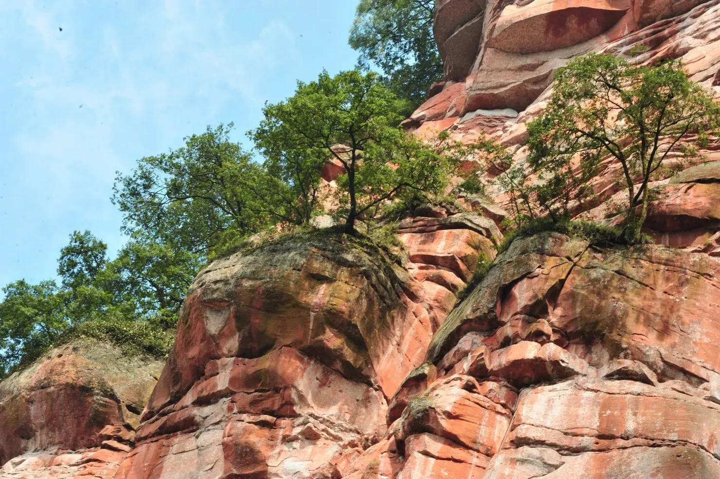 碧峰峡自然遗产大熊猫栖息地,世界自然遗产中国大熊猫栖息地