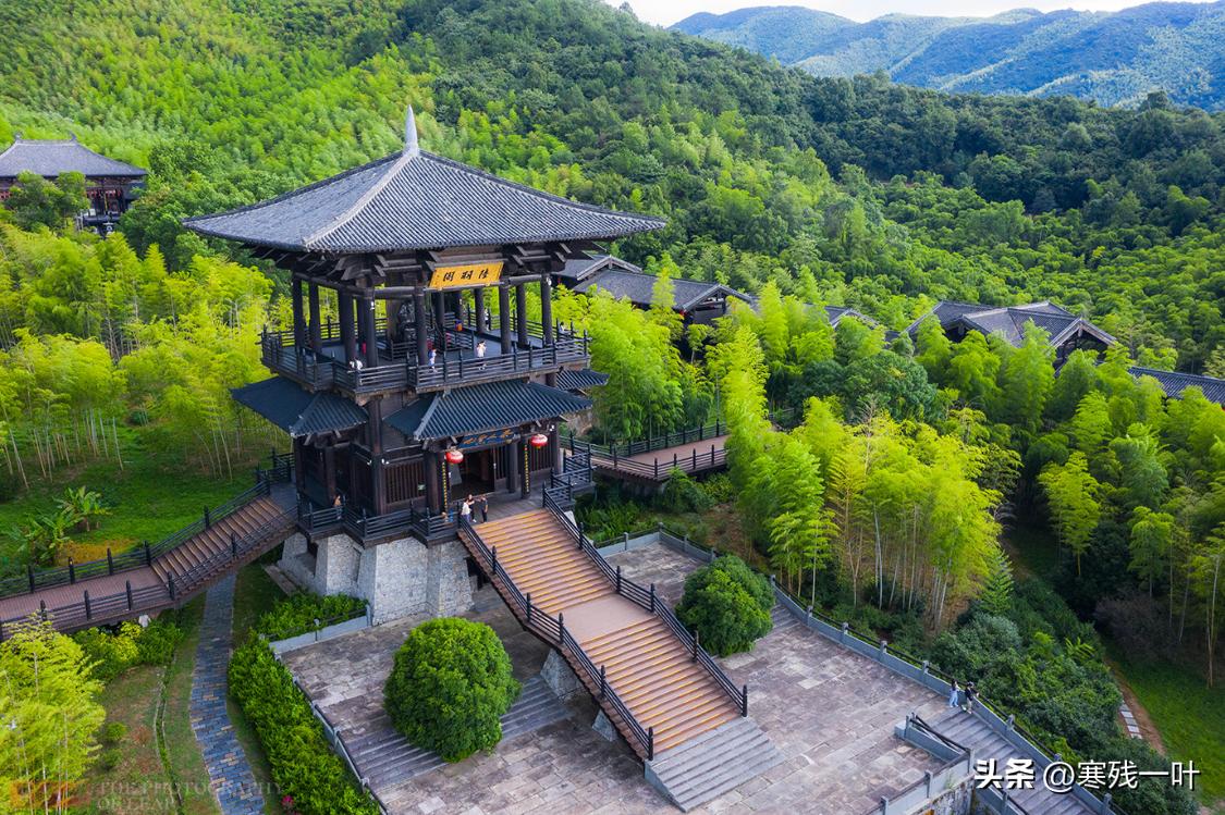 我国历史上出现最早的茶,中国排名第一的茶是什么茶