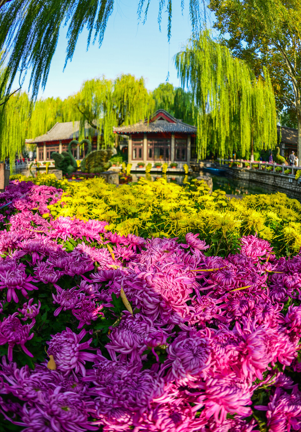 济南赏秋,秋天济南去哪里赏秋最好