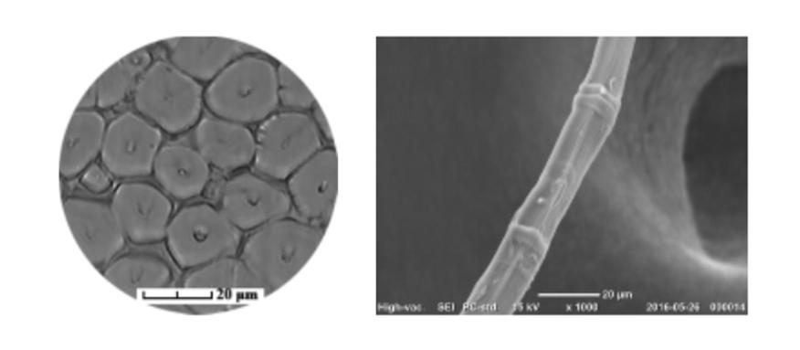 冰丝真的凉爽么,冰丝被为什么那么凉