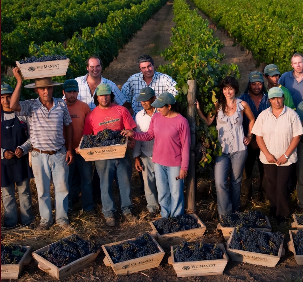 智利十八罗汉之一威玛,智利十八罗汉威玛
