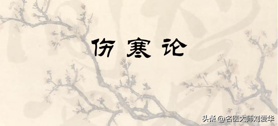 千古利水第一名方五苓散,五苓汤治水肿