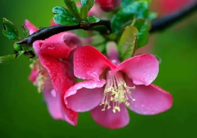 民办招生活动推广方案模板,2023民办学校招生创意和策划