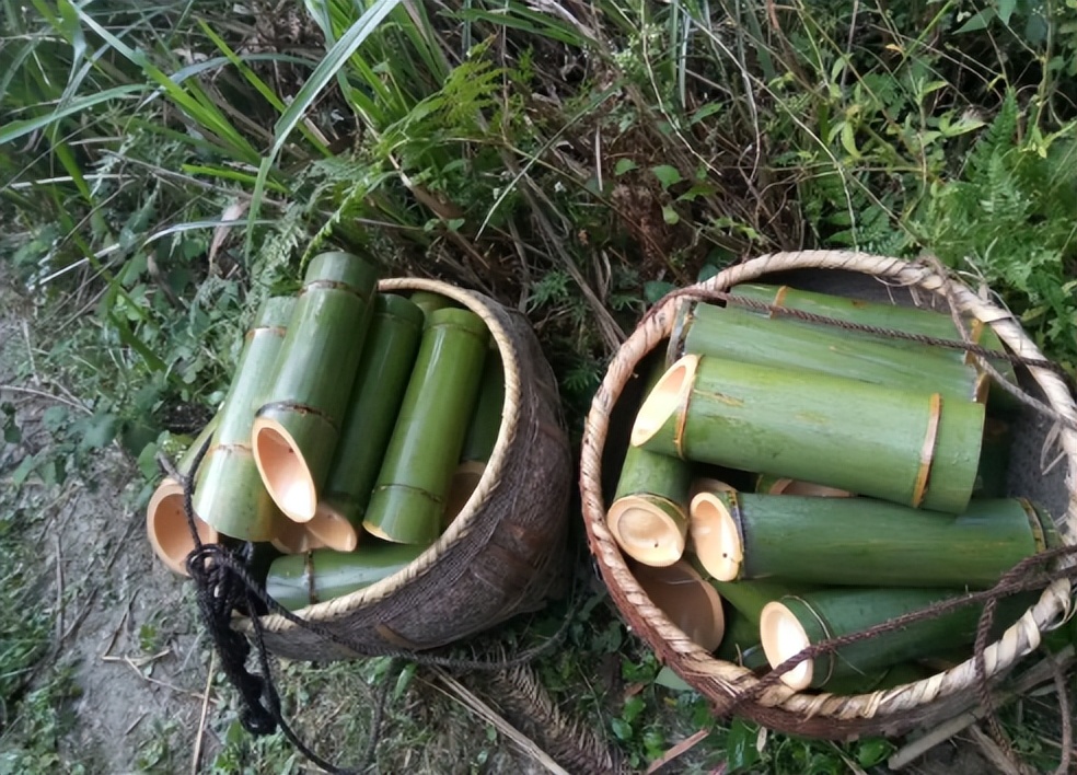 竹子做的酒真的能喝吗,竹子灌酒为什么酒没有了