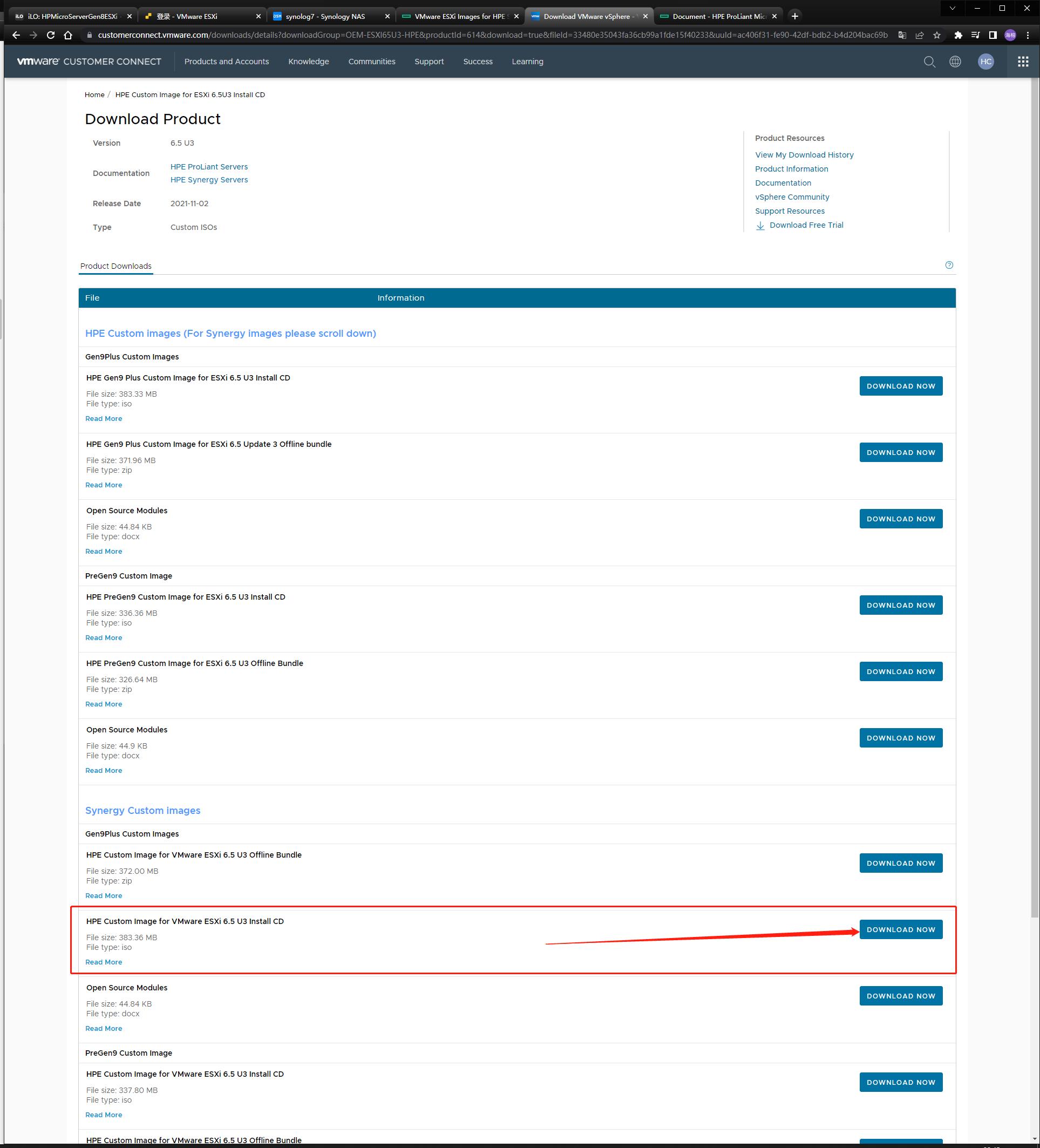 esxi虚拟化群晖安装教程,esxi给群晖nas扩容