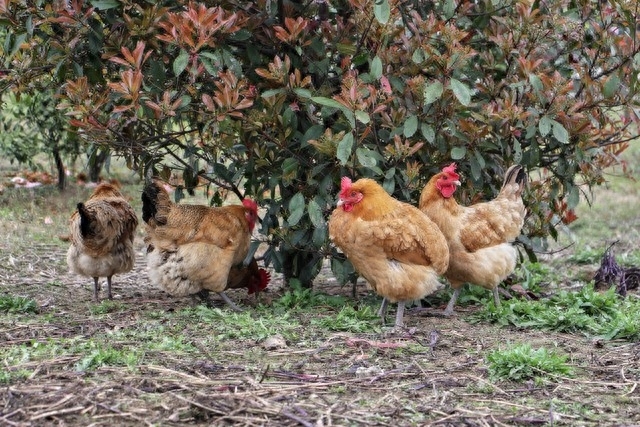 去武汉出差，同学小姨子热情招待我，与她发生幸福的事