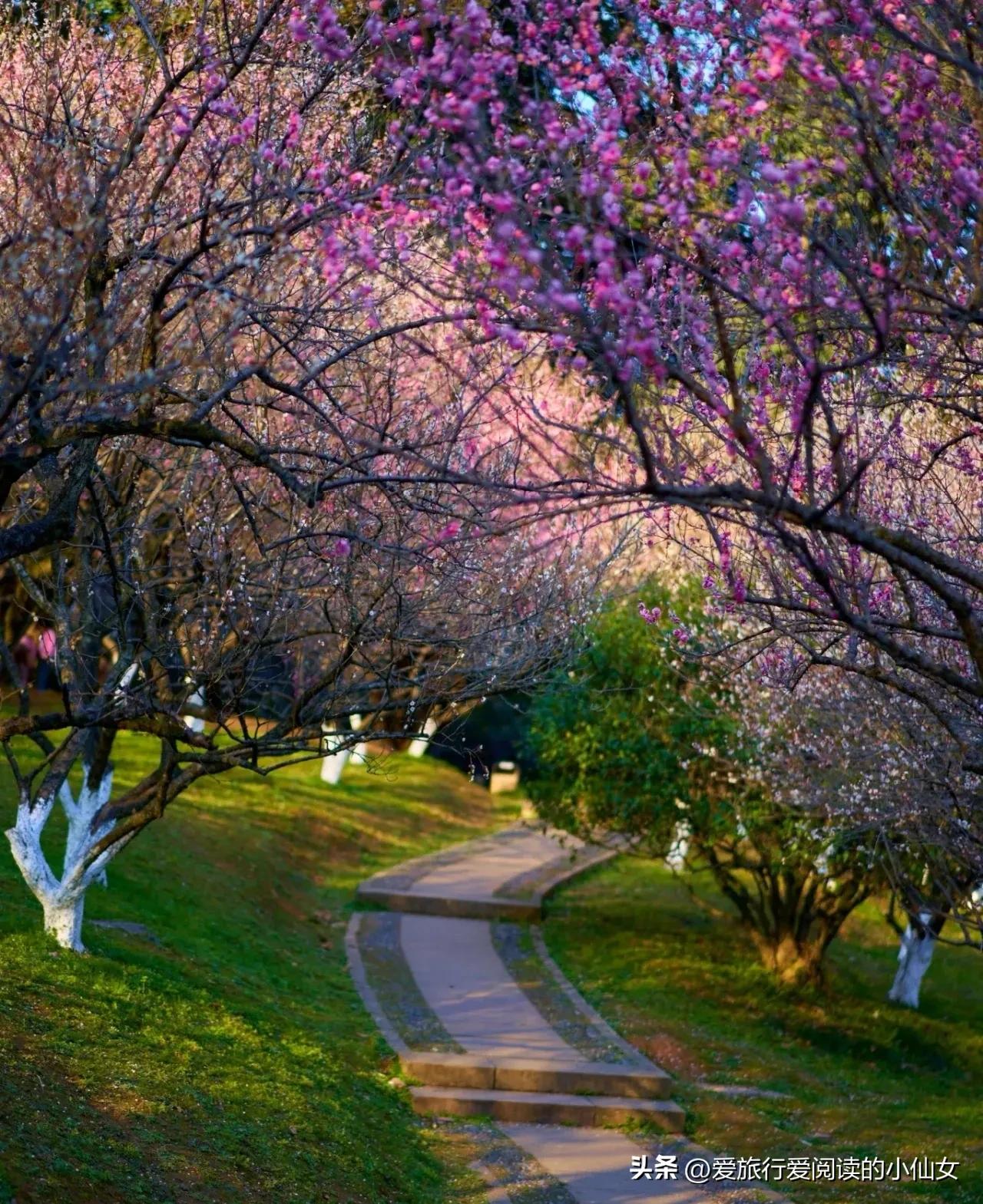 杭州旅游景点大全免费,杭州富阳免费景点大全