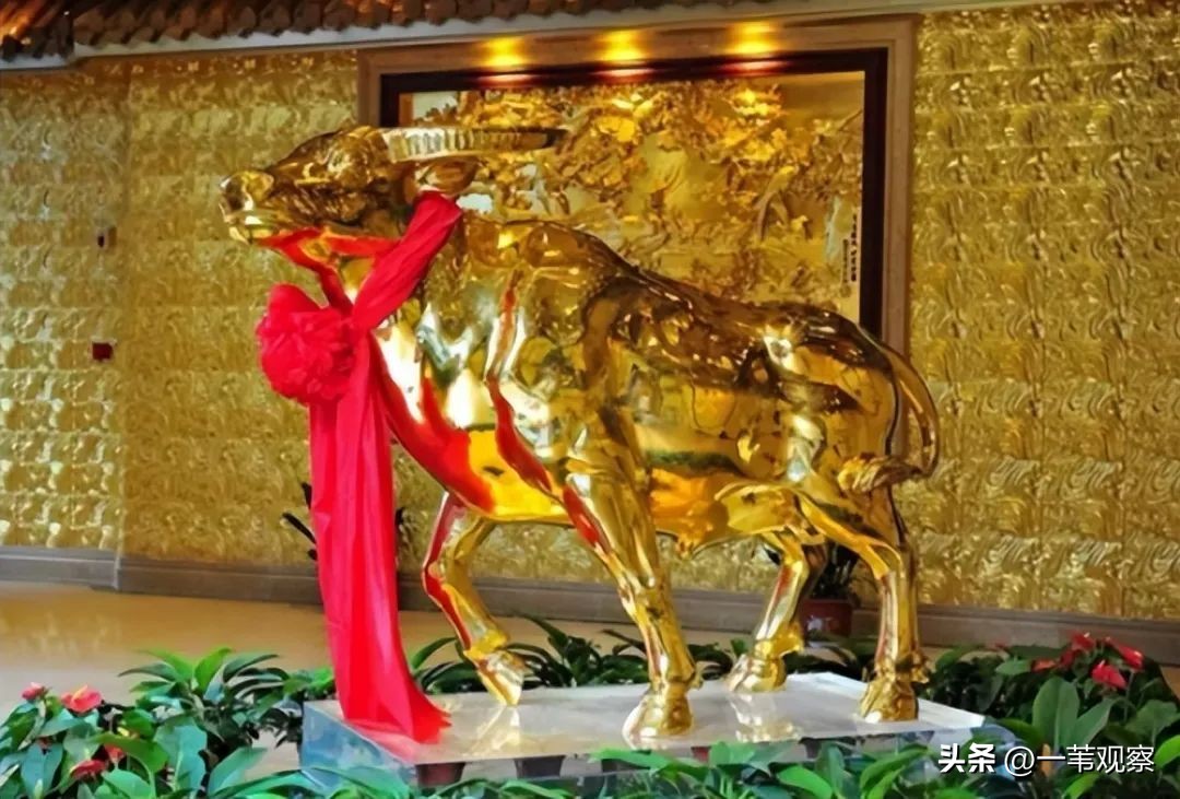 吃住行全免费,吃住行全方位服务