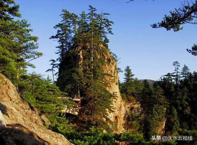 秦州八景诗句,紫玉兰七绝诗句