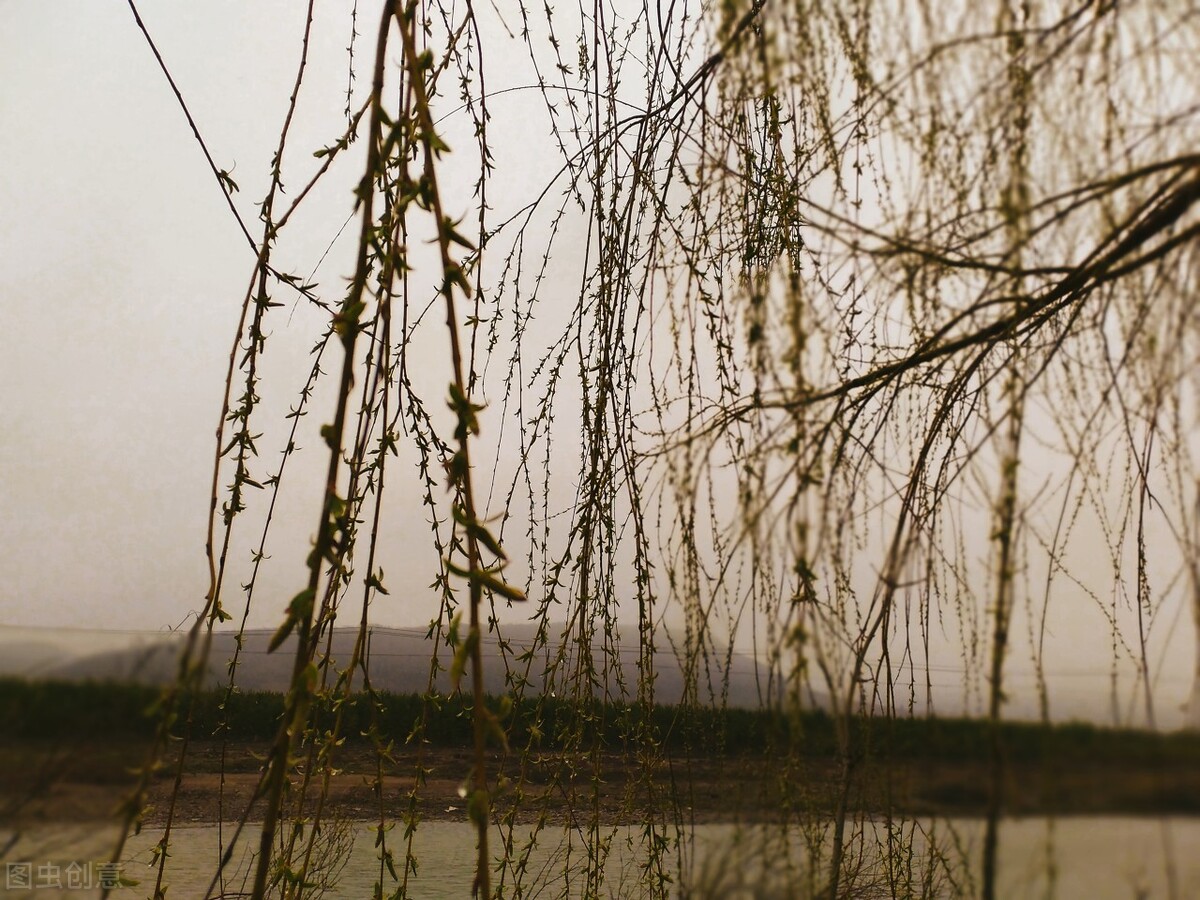 阴阳双补五脏同调最好的方子,一味能补阴阳的中药