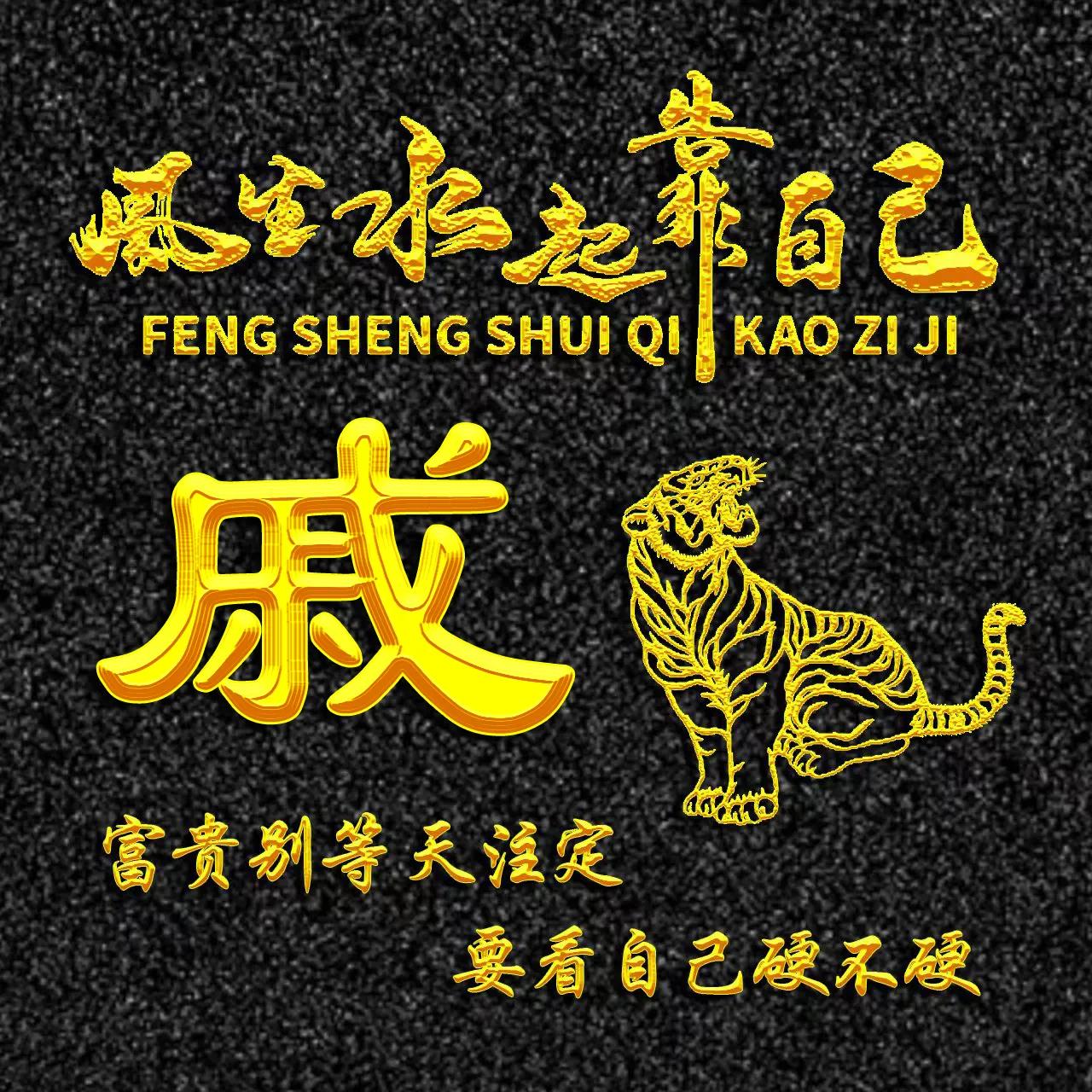 超级好看的生肖金姓氏头像,姓氏头像十二生肖带字的帅气