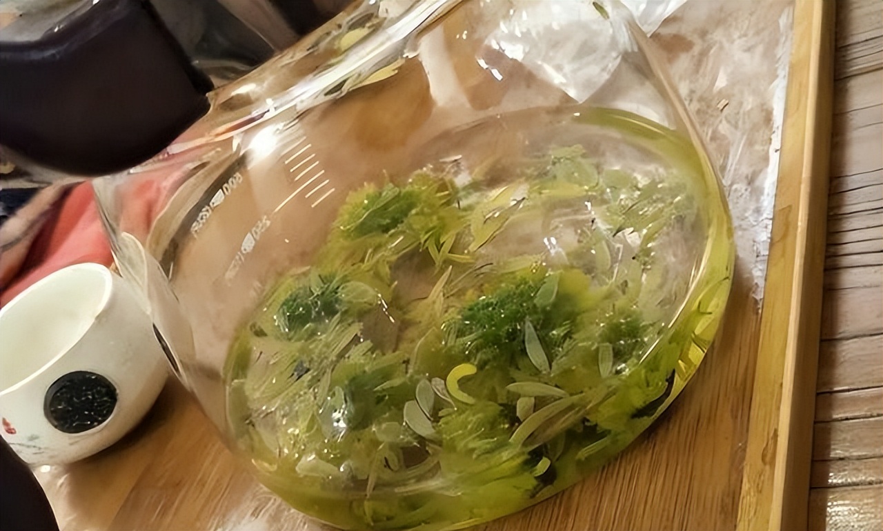 年龄大的喝菊花茶,年纪大了要忌嘴多吃4样