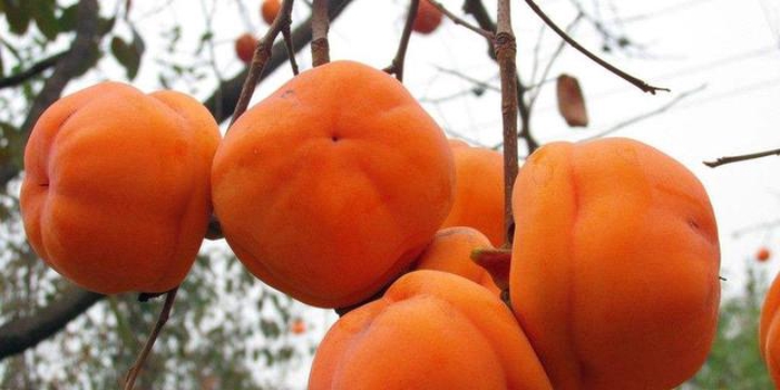 天津的特产什么地方的最正宗,天津著名的特产有哪些