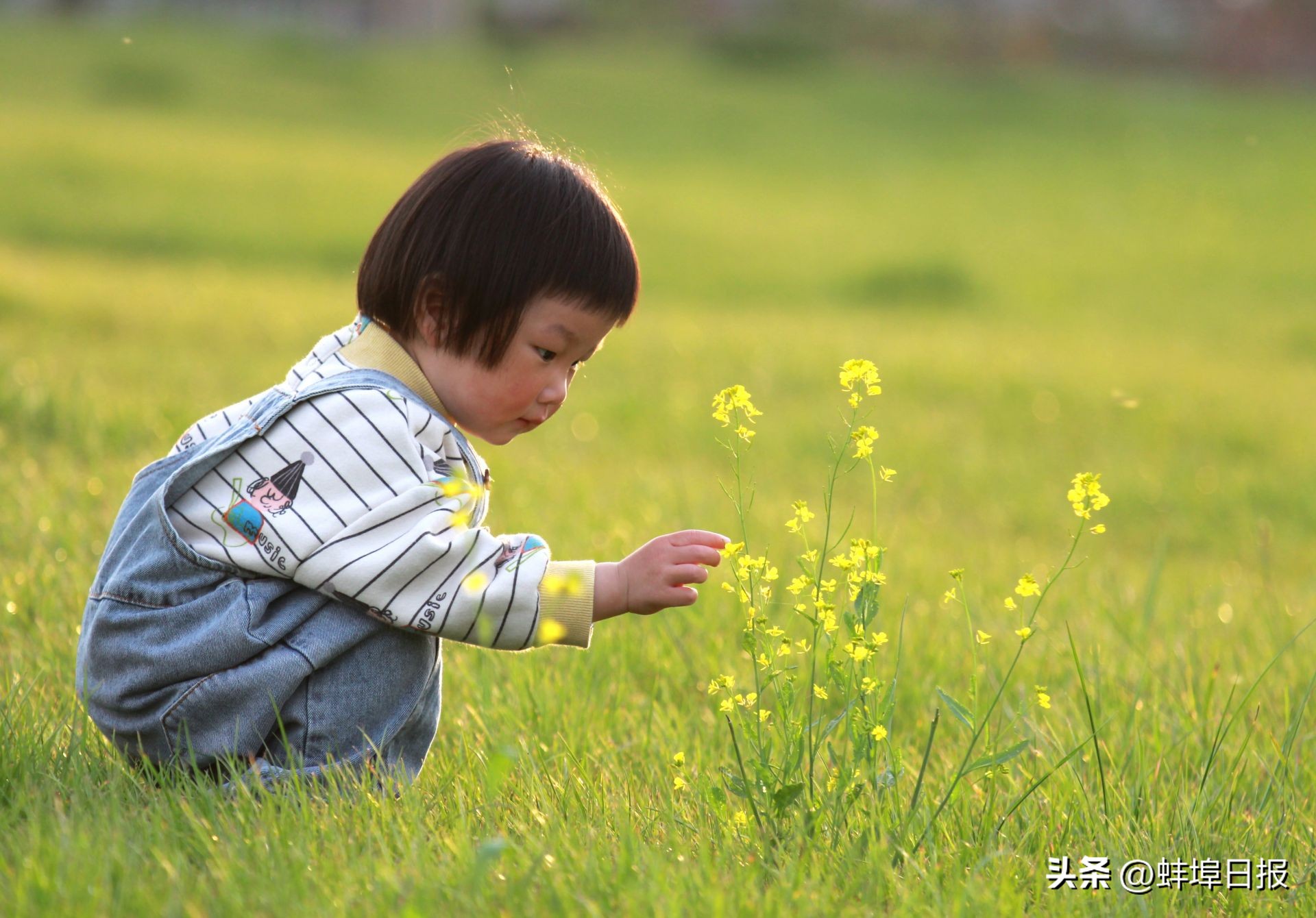 宝贝们六一快乐愿你们童心未泯,六一孩子们的欢乐时光