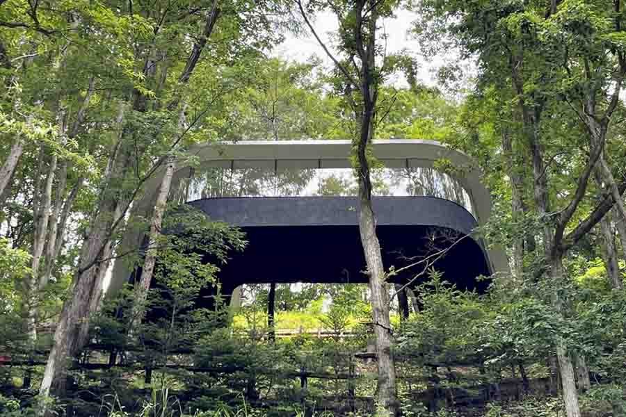 日本空置住宅,日本乡村空置房
