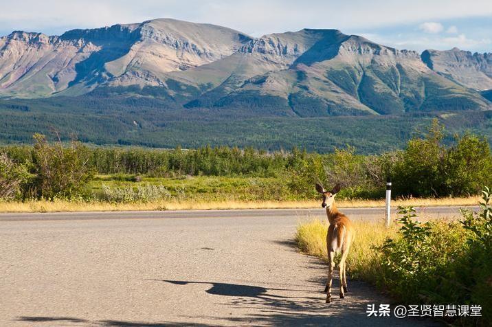 南怀瑾静心的方法,南怀瑾增强记忆力和定力的方法