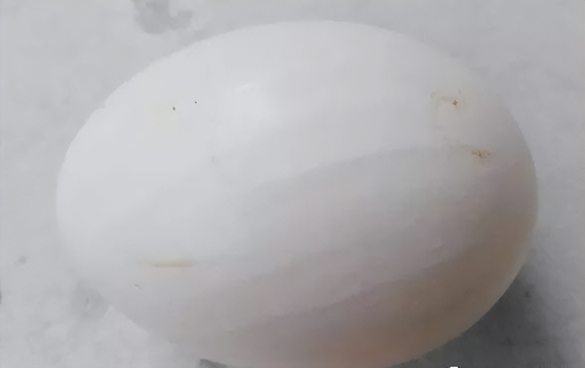 禽医静心谈种鸭螺纹蛋发生的原因鸭子螺纹蛋怎样预防鸭产畸形蛋