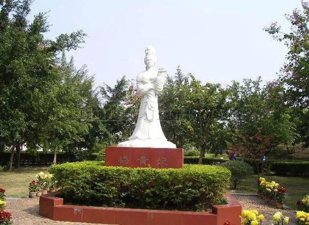 杨贵妃究竟有多漂亮,杨贵妃究竟是什么来历