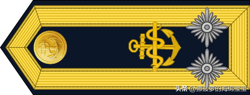 二战德国国防军医疗兵军衔标志