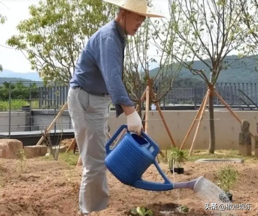文在寅卸任后到底想做什么,文在寅卸任后待遇