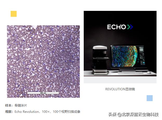 生物显微镜玻片的制作,显微镜玻片制作方法