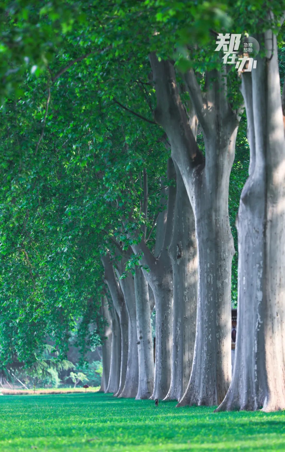 收藏好!暖春三月郑州春游地图!趁这个时候赶紧出游吧