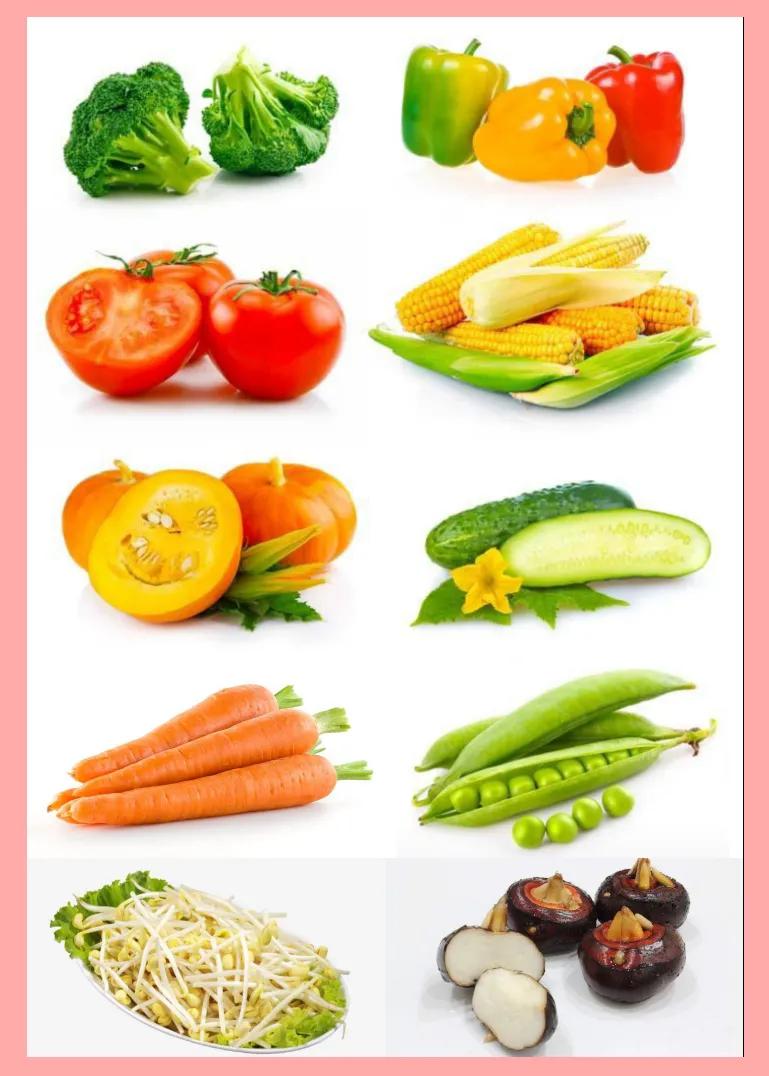 仓鼠食物挑食怎么办,仓鼠吃不下饭吃什么食物