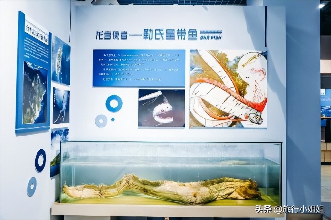 夏日海边浪漫迷人,滨城风光秀丽浪漫气息爆表