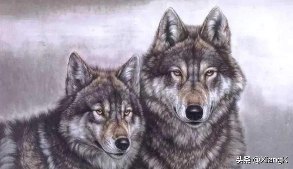 成语狼子野心后半句是什么,一天一日成语